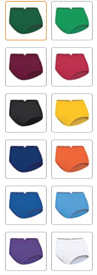Cheer Briefs (A must have to wear under your cheer skirt!)