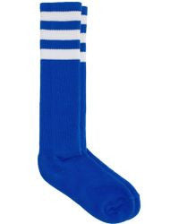 Royal Blue & White Calf High Tube Socks